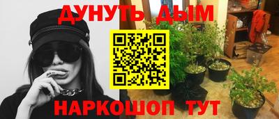 шишки Волгодонск