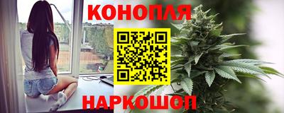 шишки Волгодонск
